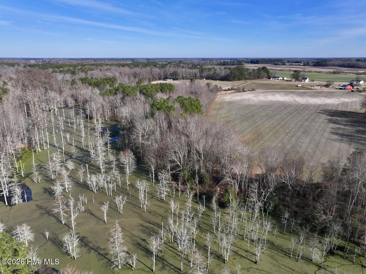223 Yellow Hammer Road Tyner, NC 27980 - Photo 10 of 39 8