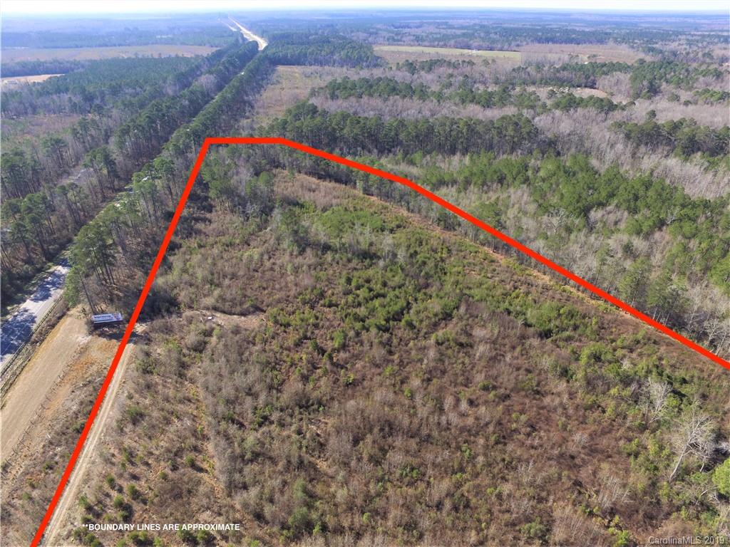 0 West W Highway Latta, SC 29565 - Photo 17 of 29