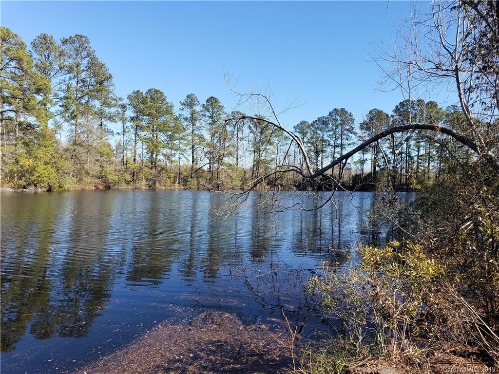 0 West W Highway Latta, SC 29565 - Photo 19 of 29
