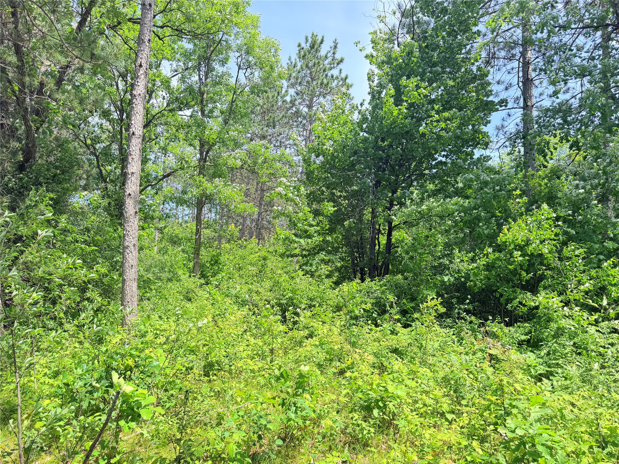0 Boat Landing Road Ladysmith, WI 54848 - Photo 17 of 22