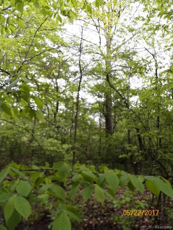 0 Keegan Road Emmett, MI 48022 - Photo 11 of 11