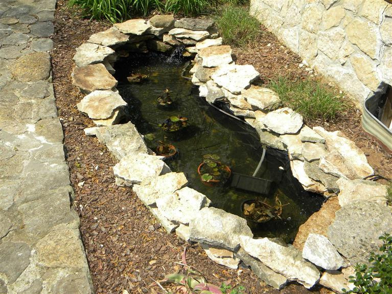 533 White Oak Road Stamping Ground, KY 40379 - Photo 13 of 45 Photo 13