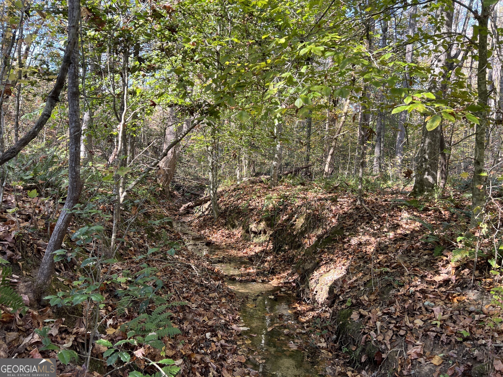 Tract 2-north Ruckersville Road Elberton, GA 30635 - Photo 1 of 1