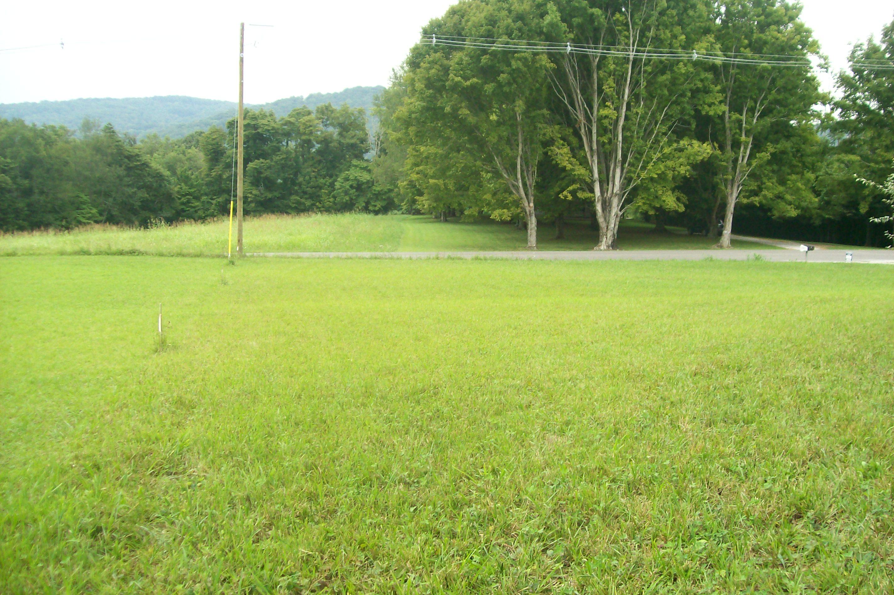 363-359 Offutt Spur Road Rocky Top, TN 37769 - Photo 33 of 40 101_4450