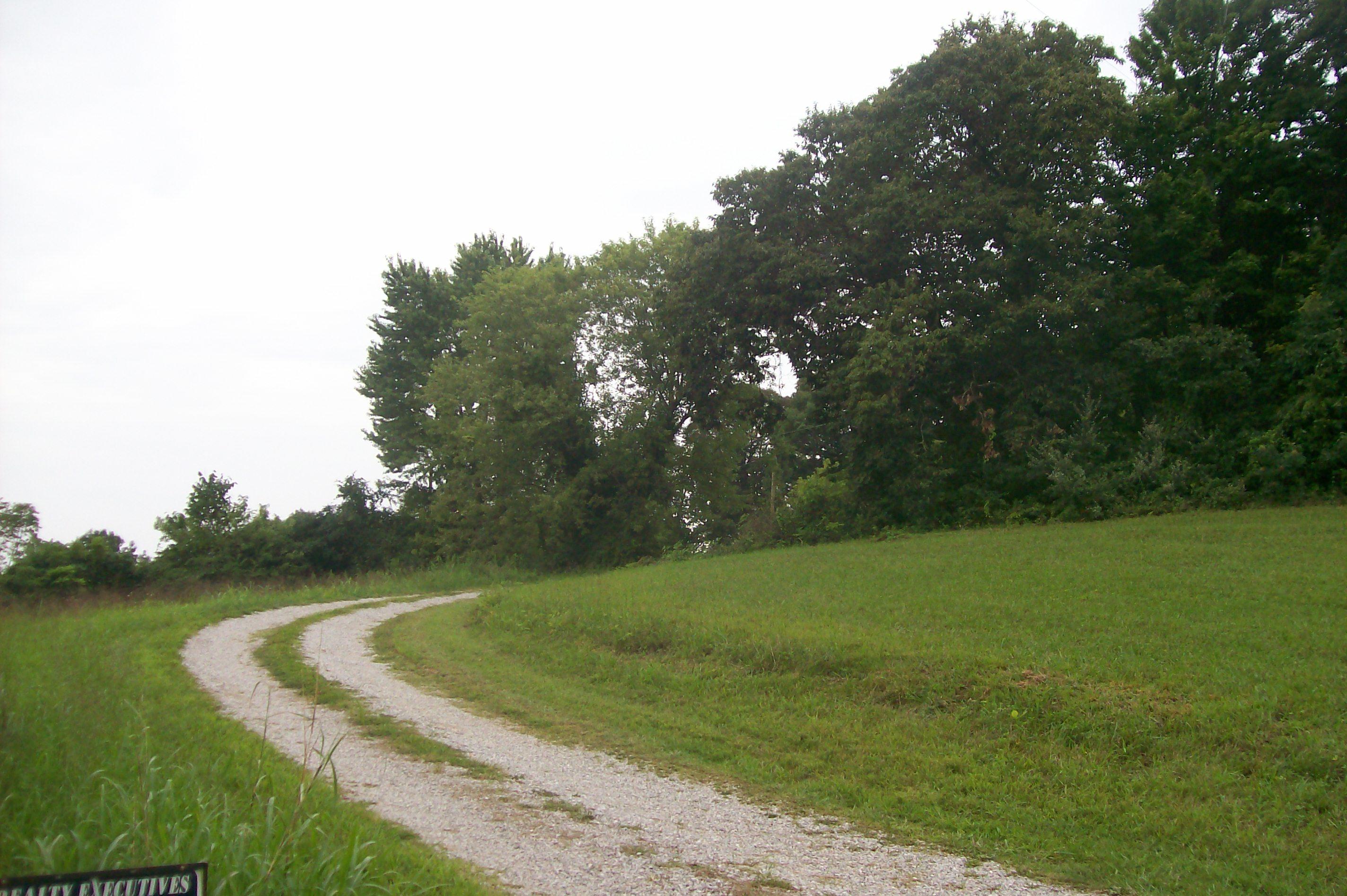 363-359 Offutt Spur Road Rocky Top, TN 37769 - Photo 34 of 40 101_4434