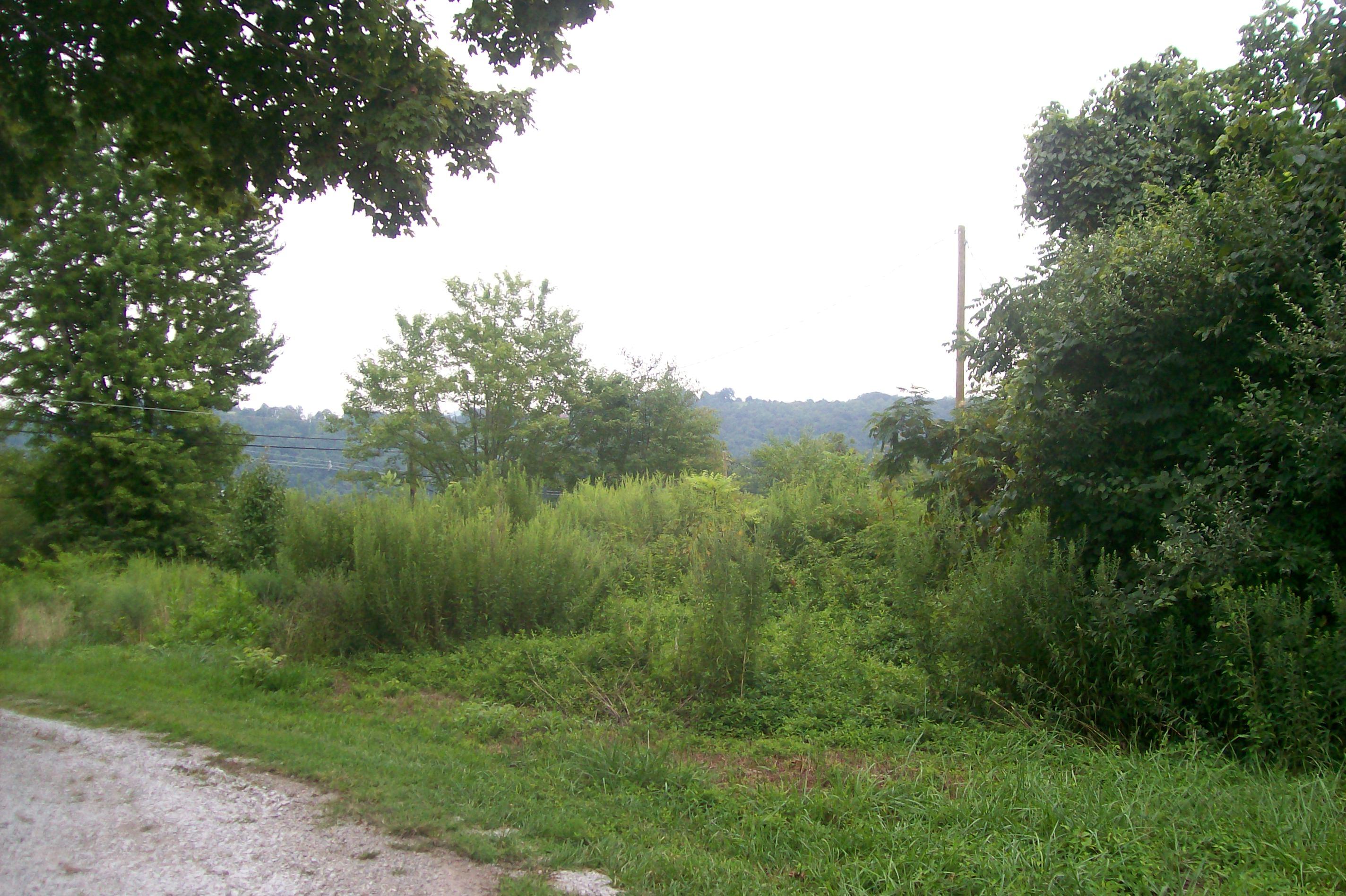 363-359 Offutt Spur Road Rocky Top, TN 37769 - Photo 35 of 40 101_4439