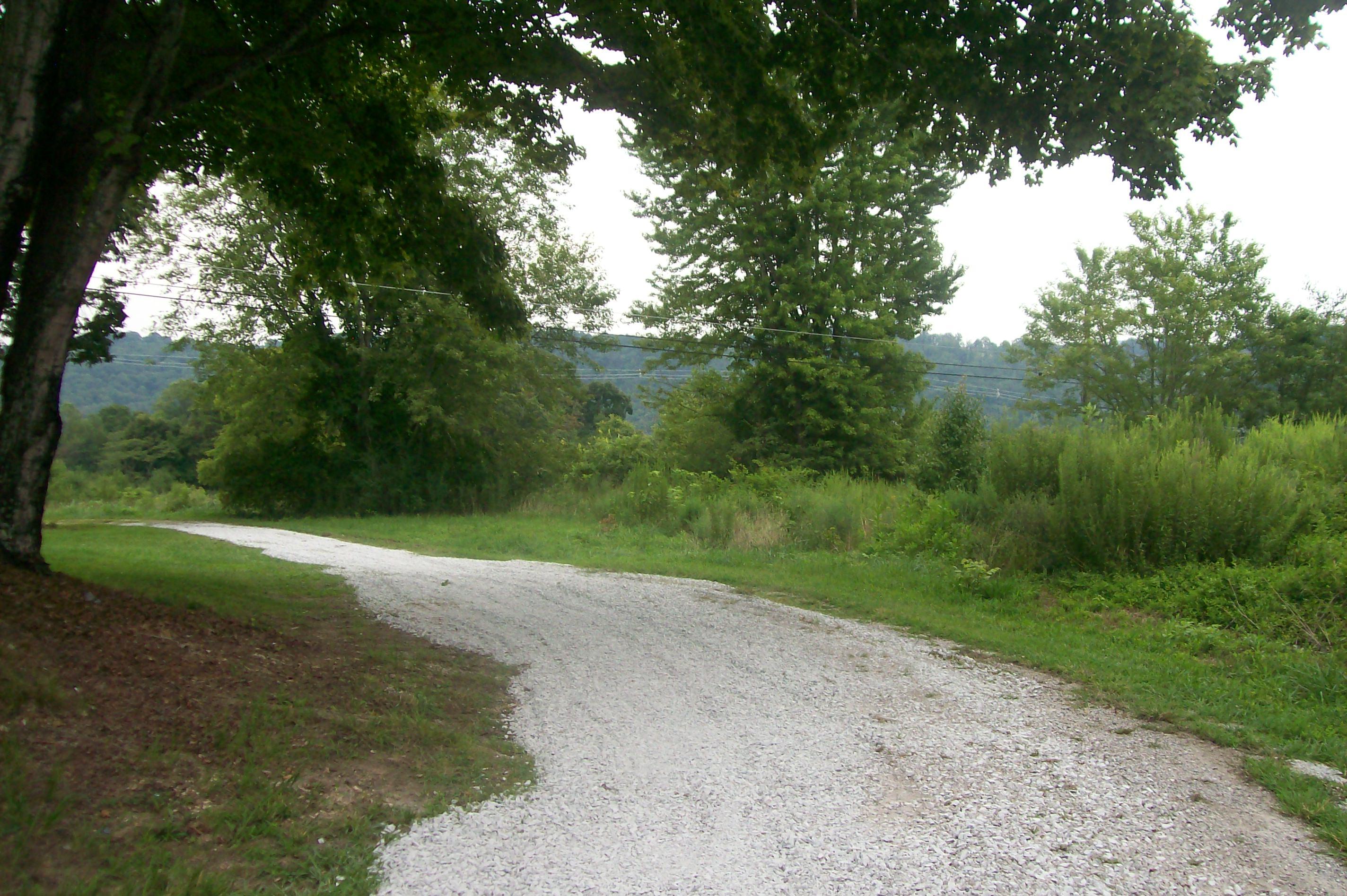 363-359 Offutt Spur Road Rocky Top, TN 37769 - Photo 40 of 40 101_4438