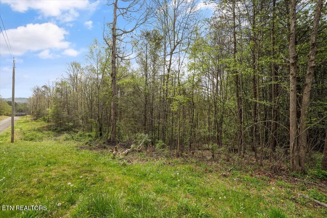 1433 Timber Trail Newport, TN 37821 - Photo 1 of 18 Primary Photo