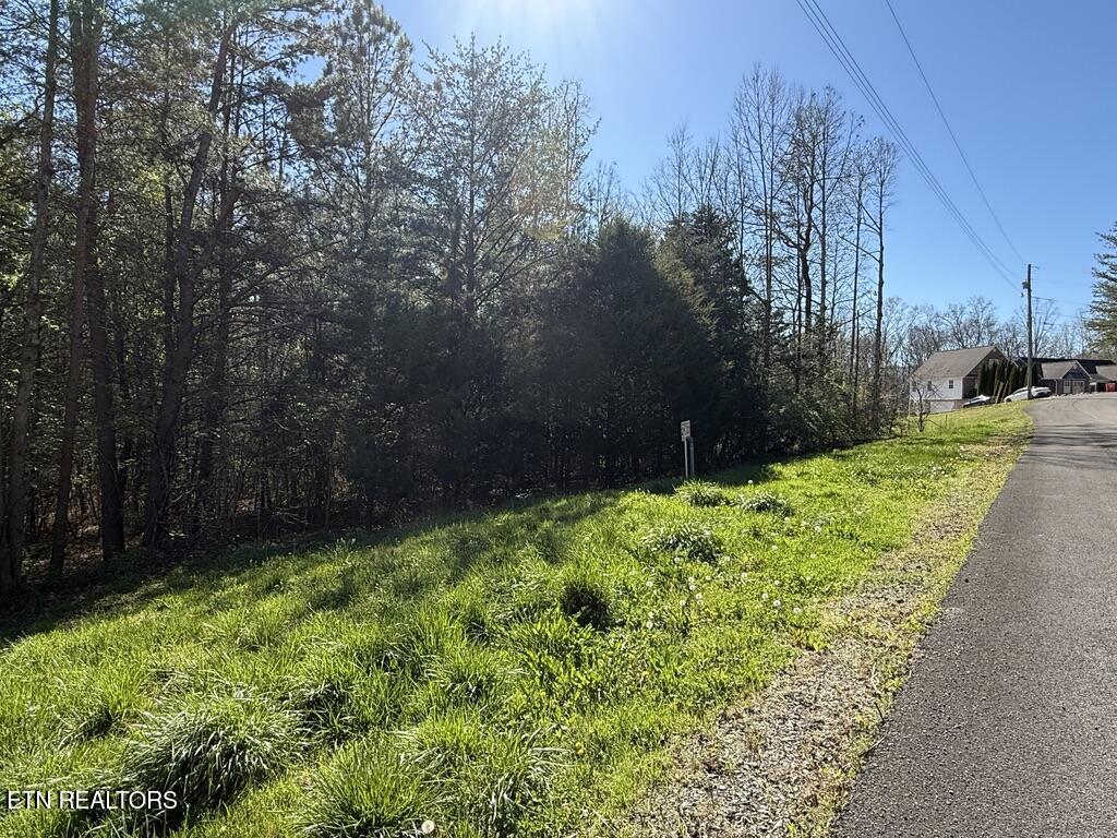 1433 Timber Trail Newport, TN 37821 - Photo 11 of 18 E0FE8638-7AC9-43D2-878B-1EC80B06C4FC_1_1