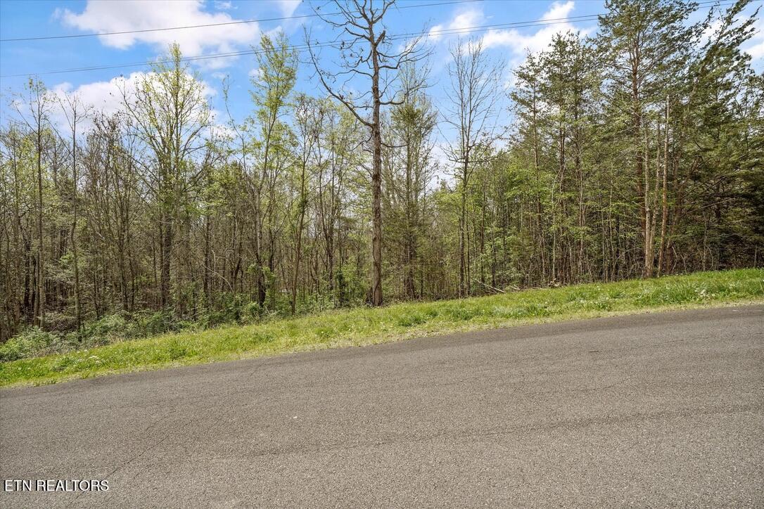 1433 Timber Trail Newport, TN 37821 - Photo 13 of 18 40FDB98C-AE44-43B5-AEF9-A59C1D2759F9_1_1