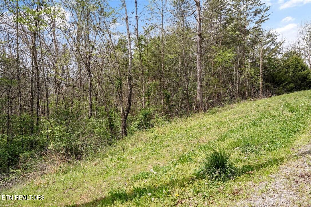 1433 Timber Trail Newport, TN 37821 - Photo 14 of 18 735018CA-3FAE-4AE4-9C93-8B5BBEDA55F3_1_1