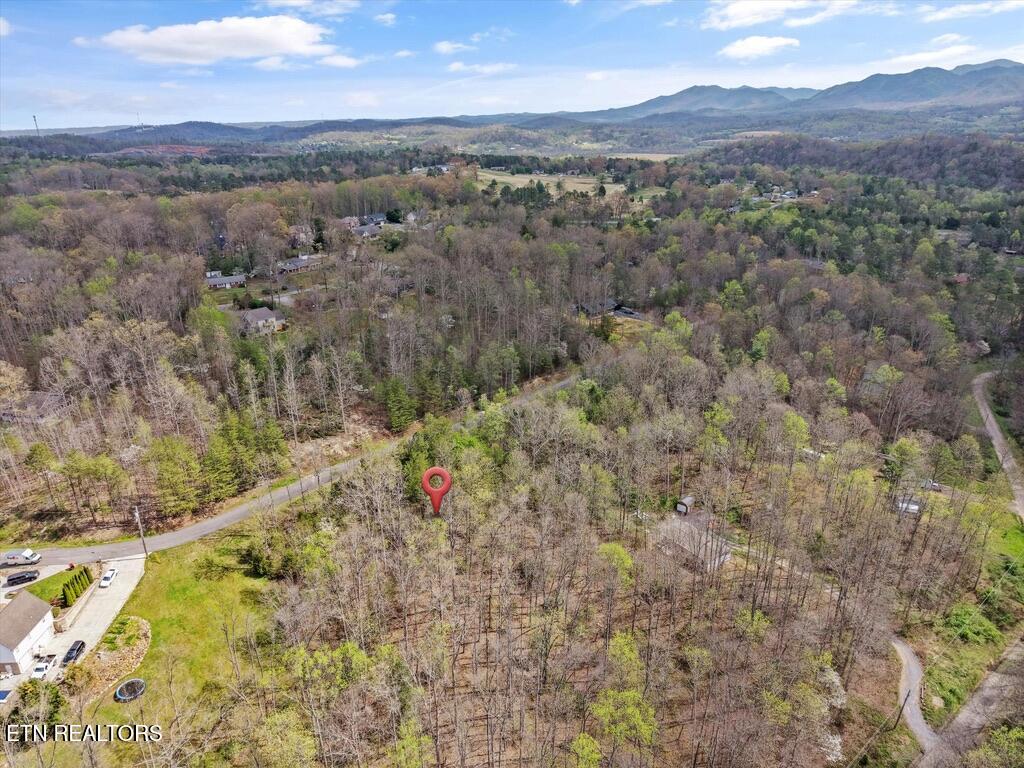1433 Timber Trail Newport, TN 37821 - Photo 15 of 18 265264A7-6933-424B-A10C-A61C9A63F0DF_1_1