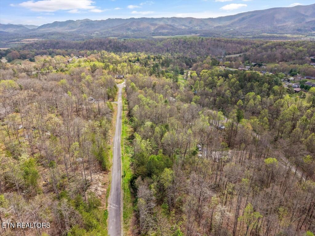 1433 Timber Trail Newport, TN 37821 - Photo 16 of 18 49EEA45A-3E46-412B-AA01-403CCC6664B8_1_1