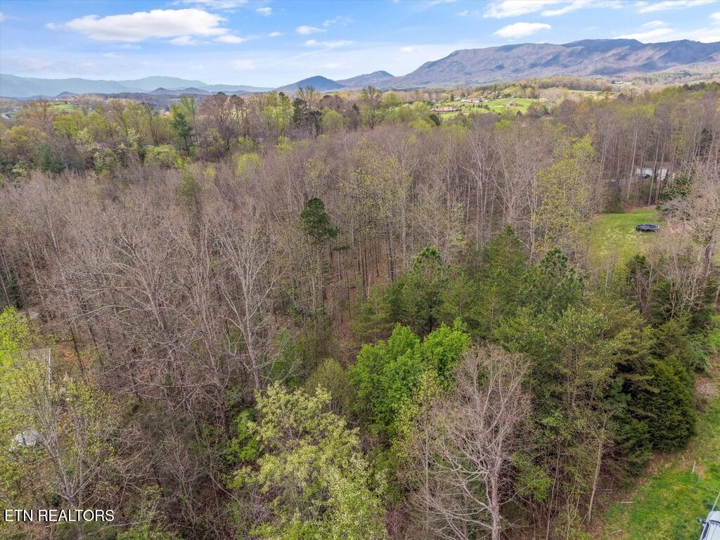 1433 Timber Trail Newport, TN 37821 - Photo 17 of 18 638468DE-289F-4CEE-A6A8-BE376E353C9D_1_1