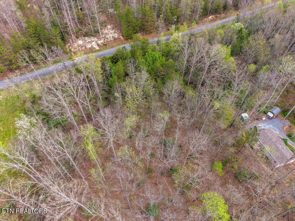 1433 Timber Trail Newport, TN 37821 - Photo 18 of 18 60EA21CE-F070-45C0-AC00-4BA745804524_1_1