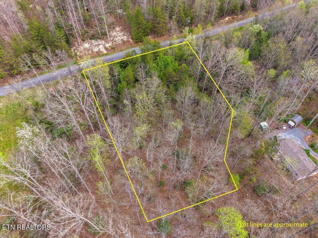 1433 Timber Trail Newport, TN 37821 - Photo 2 of 18 AA824D9F-A4B9-483E-9FB0-0D14B2CDC9F6_1_1