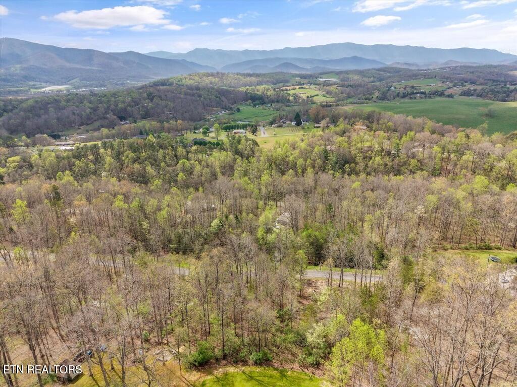 1433 Timber Trail Newport, TN 37821 - Photo 4 of 18 1EF79F6F-A94F-4237-A578-6224B1C82695_1_1