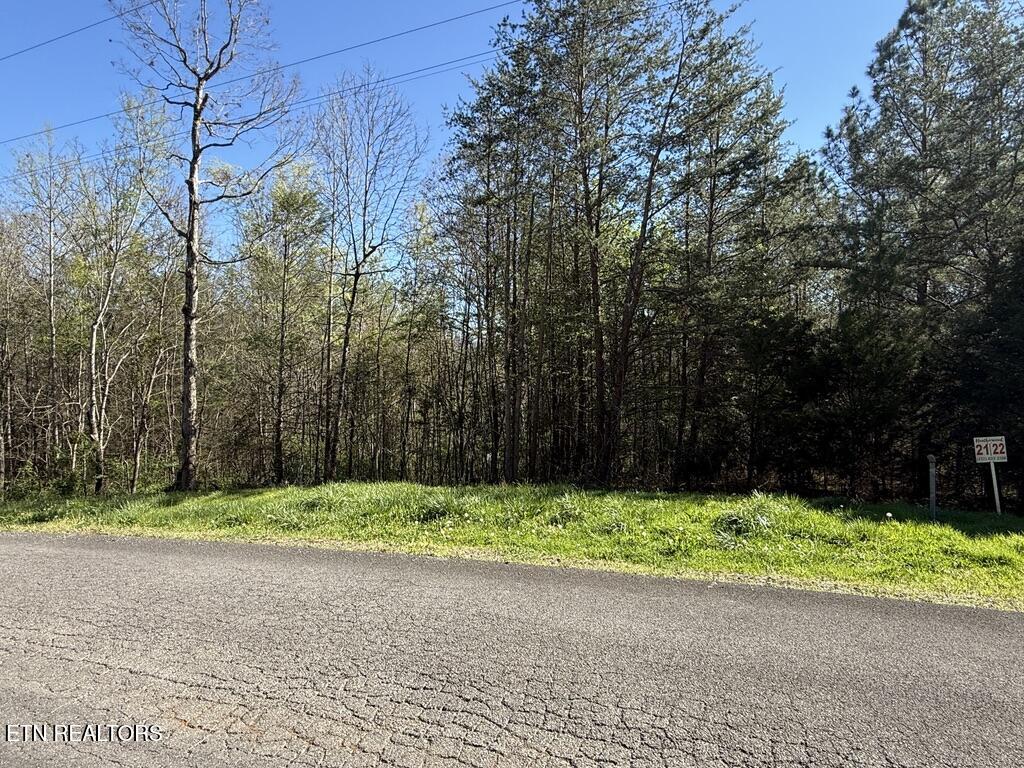1433 Timber Trail Newport, TN 37821 - Photo 5 of 18 3B48D918-14B2-4B4D-BBAB-35A4F52A57D8_1_1