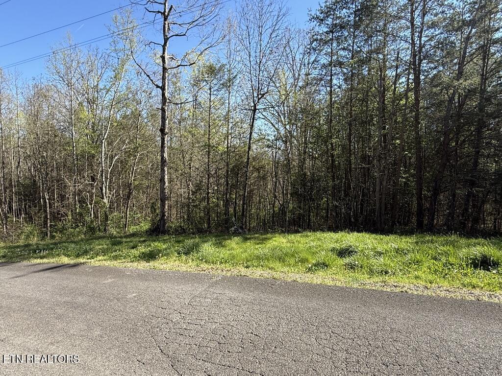 1433 Timber Trail Newport, TN 37821 - Photo 7 of 18 8459F0F3-FE6B-4A81-9315-816D8A17D4D1_1_1