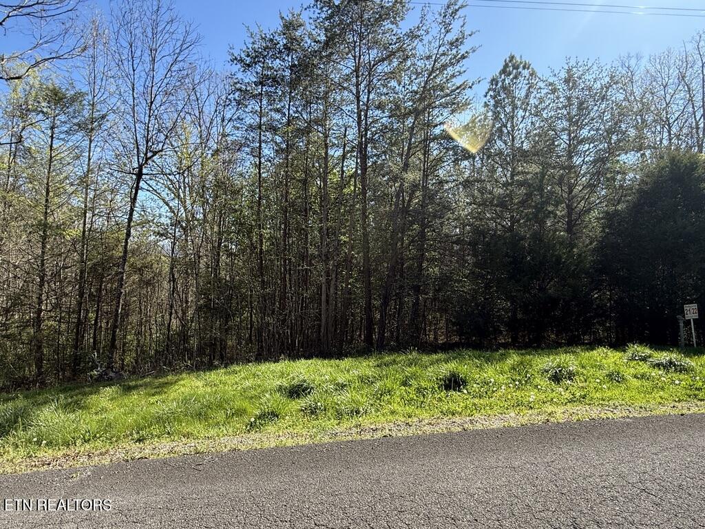 1433 Timber Trail Newport, TN 37821 - Photo 8 of 18 6A9870C8-700F-416B-AACD-32916FB9BADC_1_1