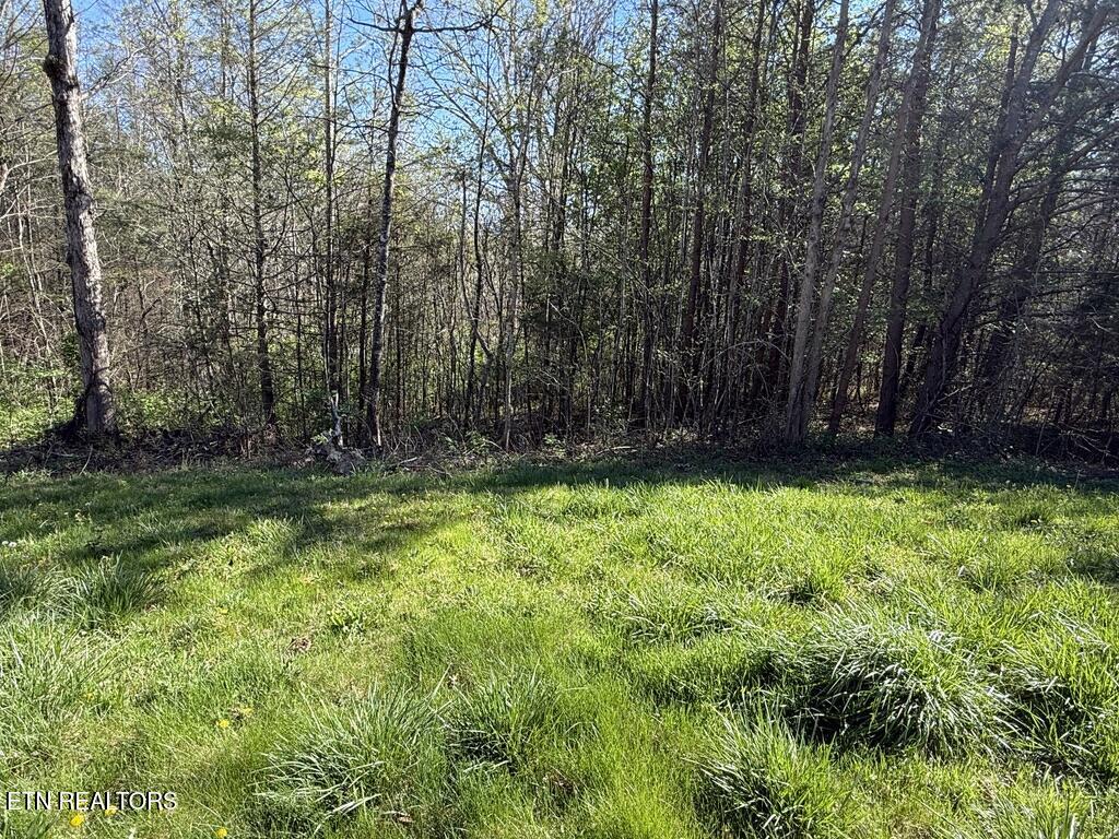 1433 Timber Trail Newport, TN 37821 - Photo 10 of 18 058702CD-1DF8-4F90-84AA-0170FB91C6F5_1_1