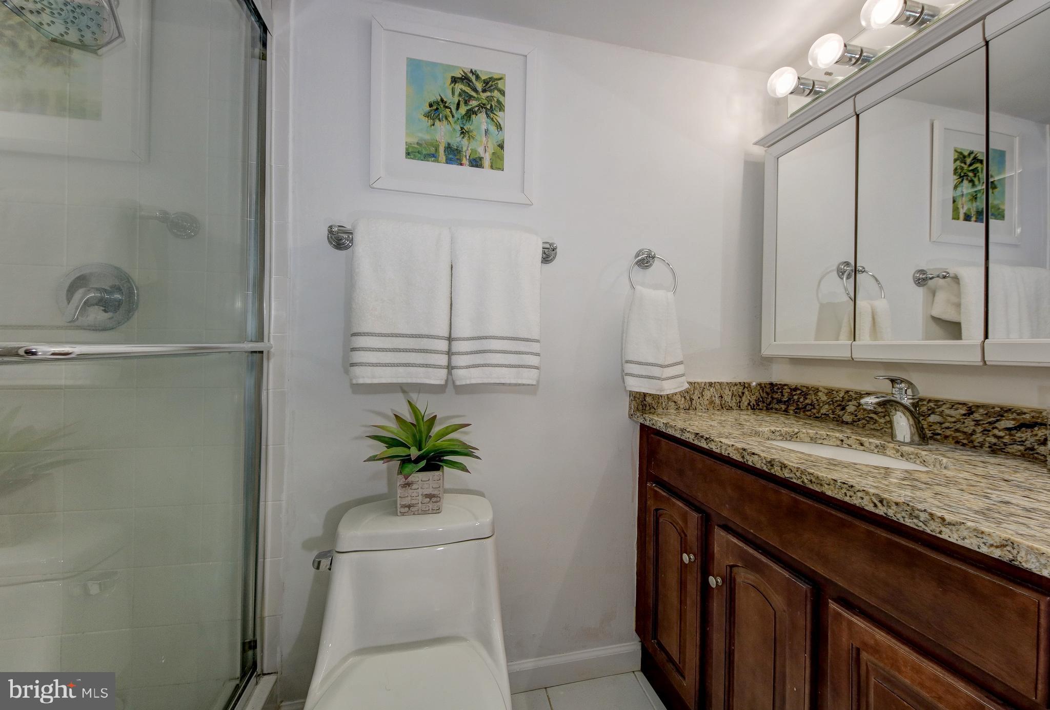 1621 T Street Northwest, Unit T2 Washington, DC 20009 - Photo 13 of 41 En-suite owner bathroom