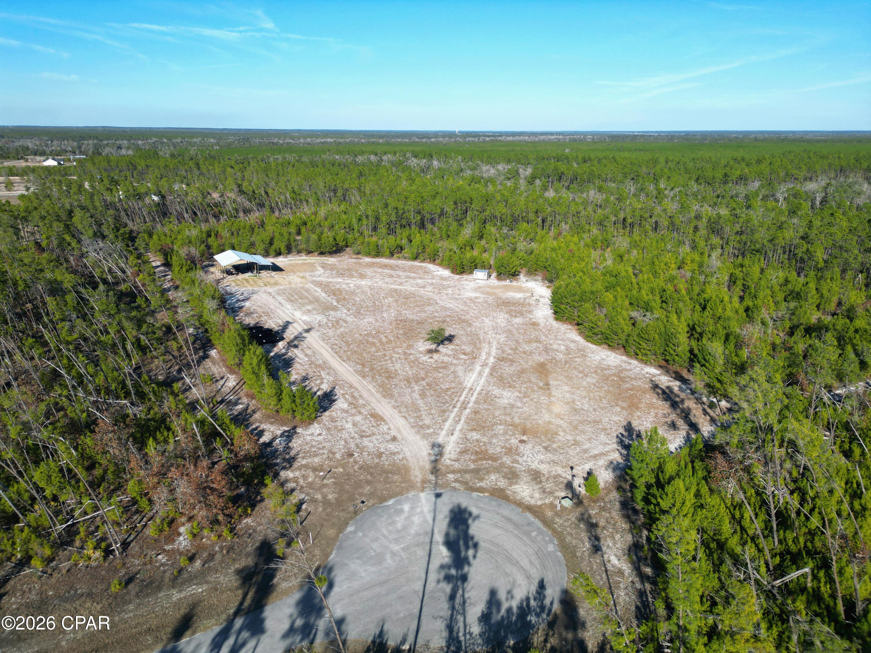 16078 Longbranch Street Northwest Bristol, FL 32321 - Photo 6 of 12