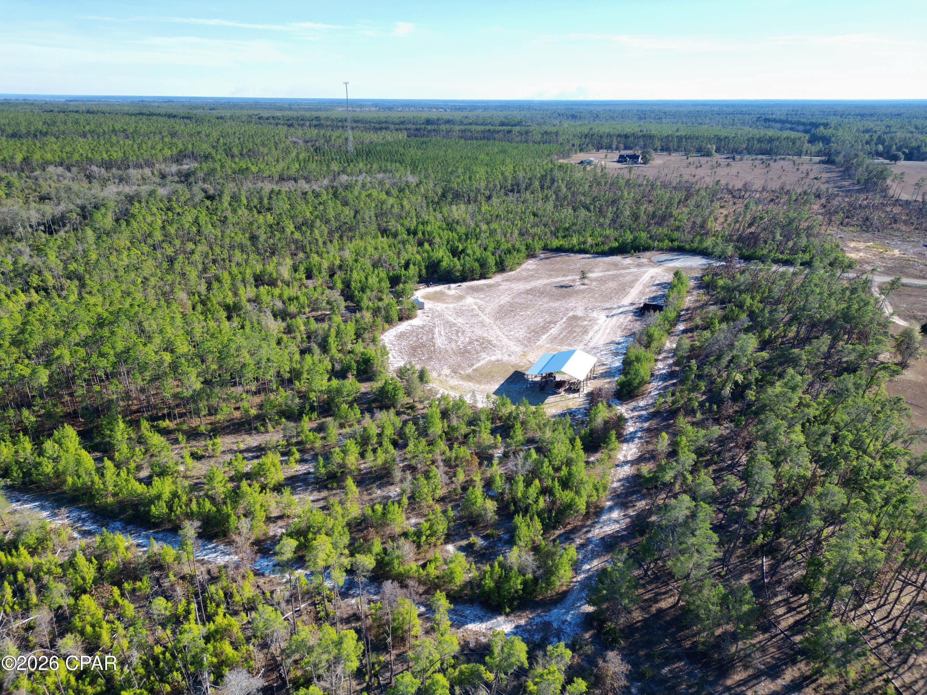 16078 Longbranch Street Northwest Bristol, FL 32321 - Photo 8 of 12