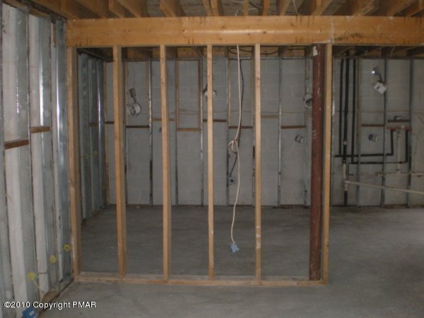 unfinished lower level