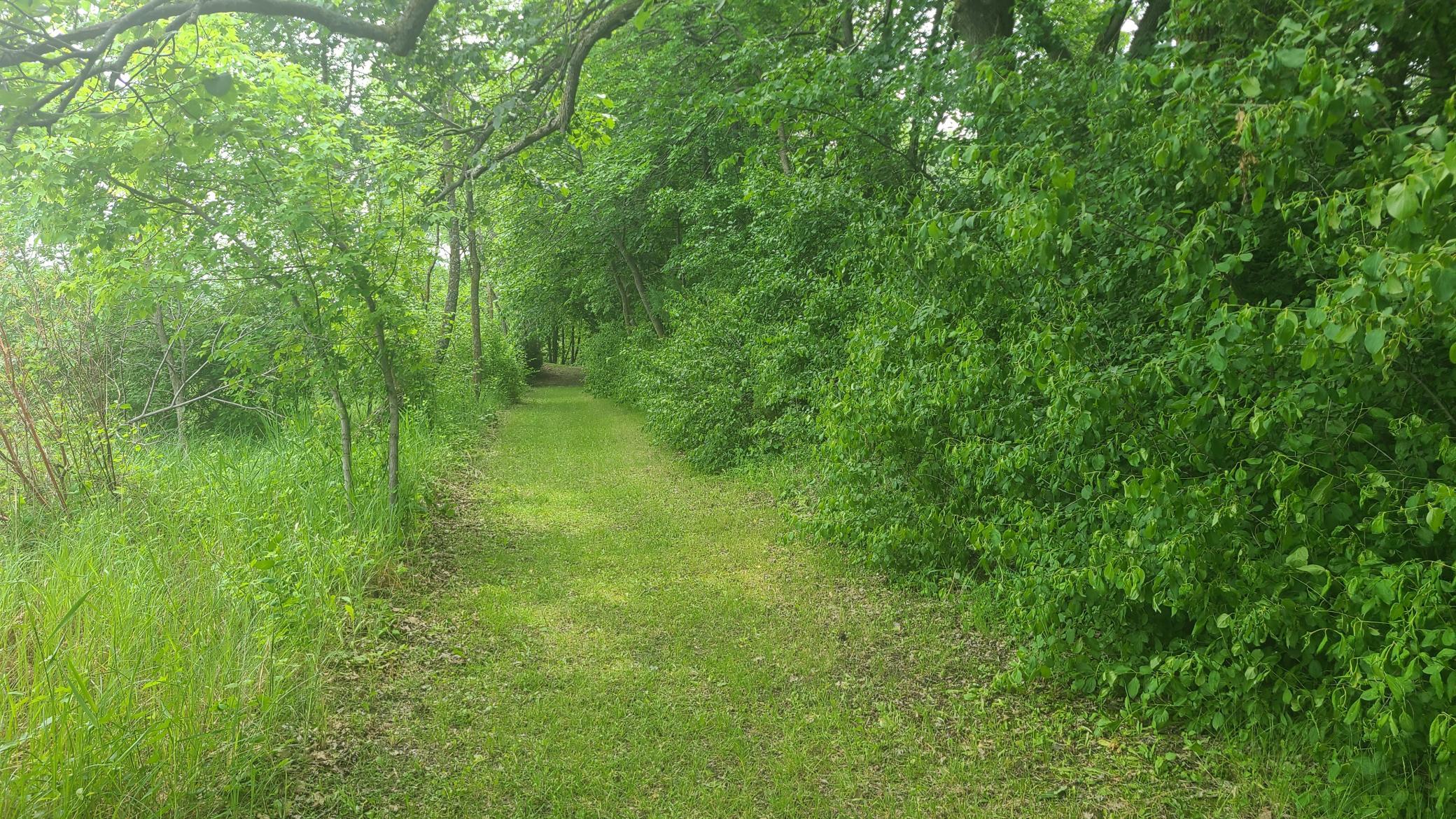 26373 Anna Lake Road Underwood, MN 56586 - Photo 25 of 39