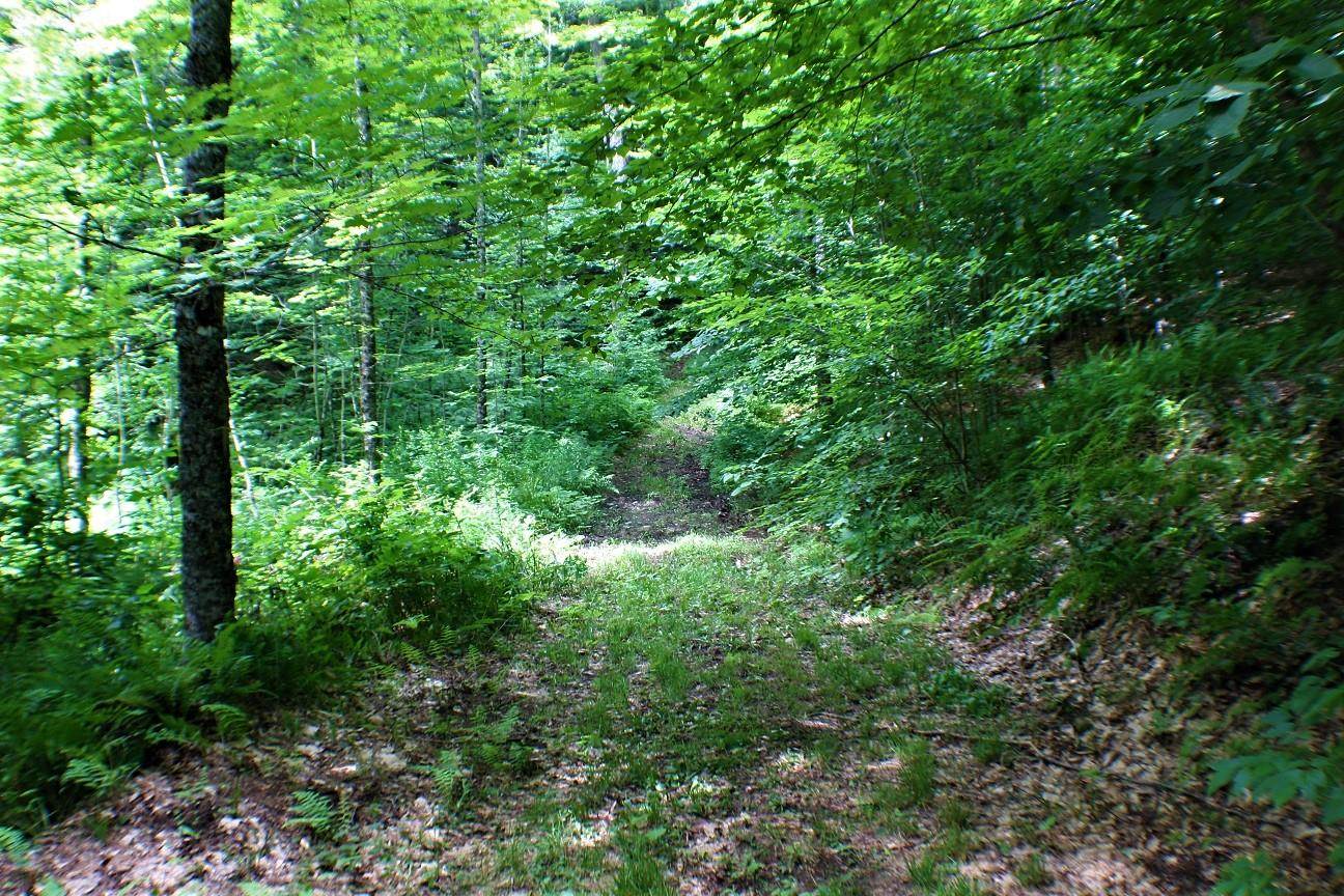 103 Jug Brook Road Cabot, VT 05658 - Photo 3 of 11