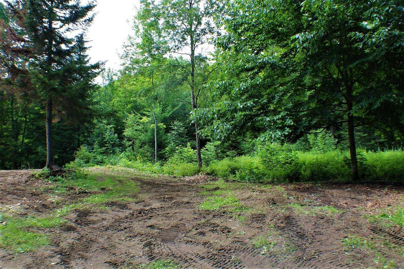 103 Jug Brook Road Cabot, VT 05658 - Photo 8 of 11