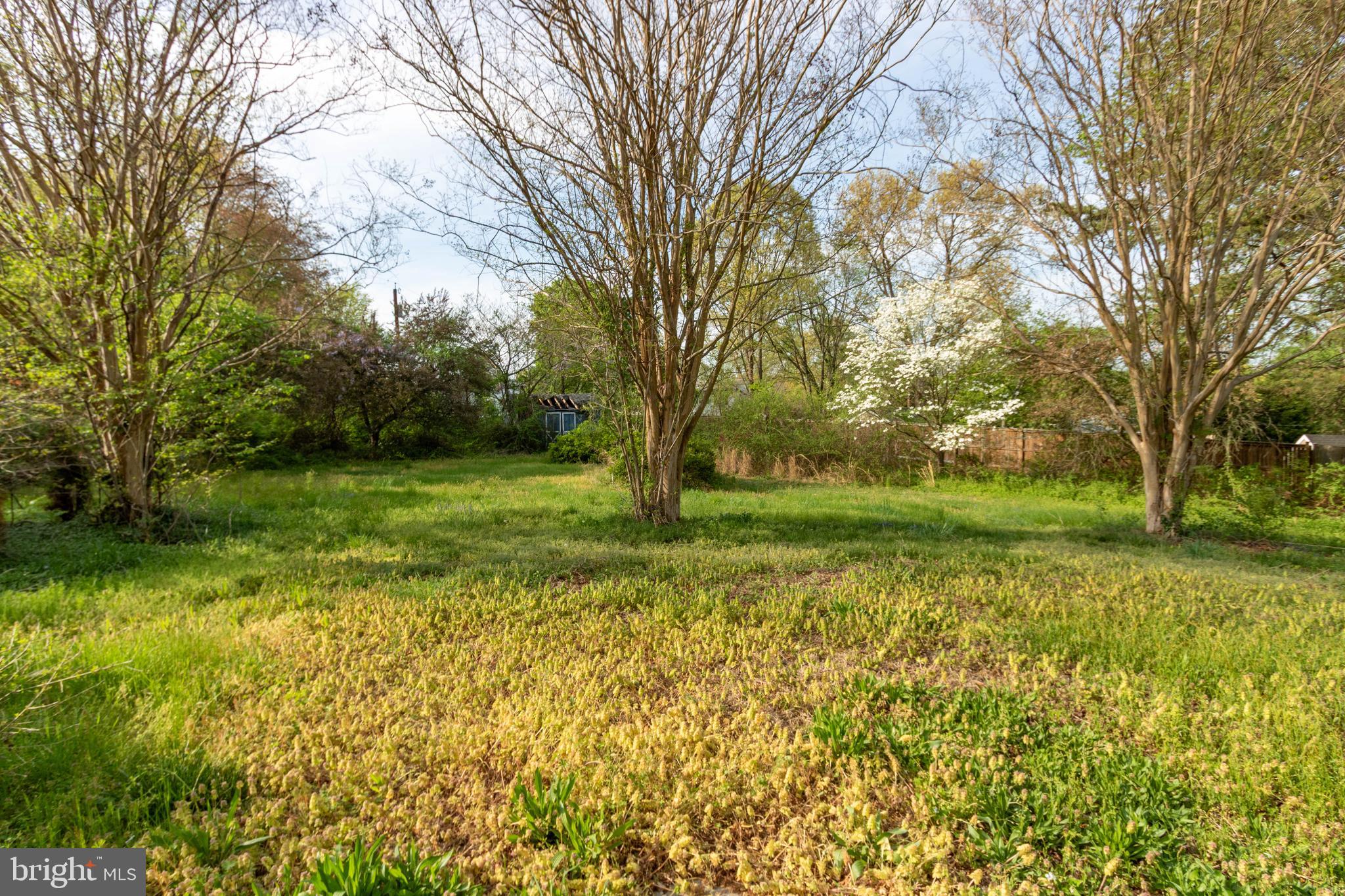 1204 Dicus Mill Road Millersville, MD 21108 - Photo 57 of 63 a view of a field with trees