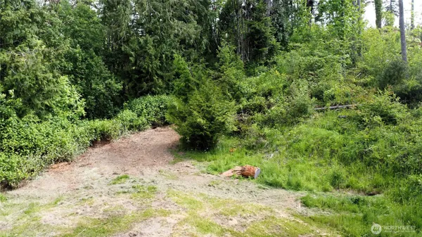 a view of a wooden floor and a yard