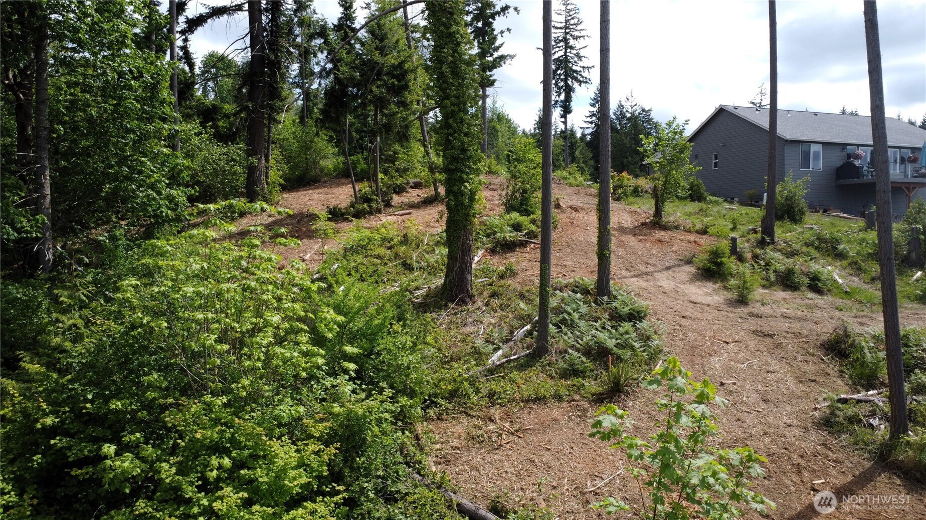 118 Tillicum Drive Chehalis, WA 98532 - Photo 16 of 21 a view of a garden with a tree