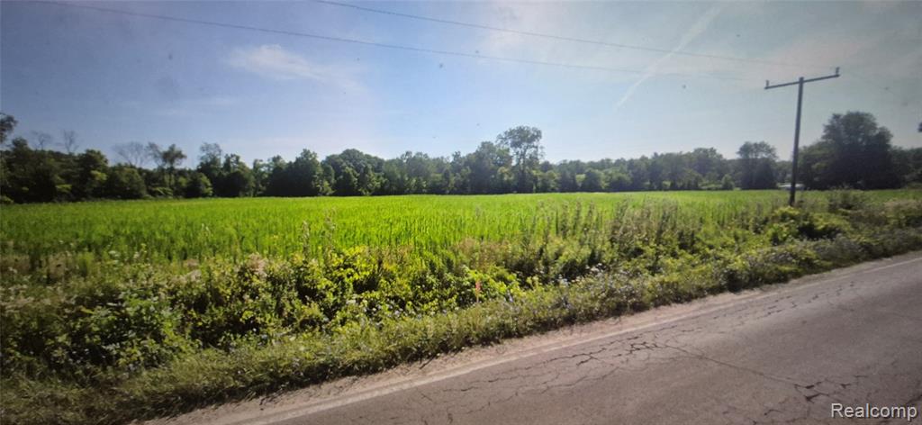 14700 Darling Road Milan, MI 48160 - Photo 4 of 5