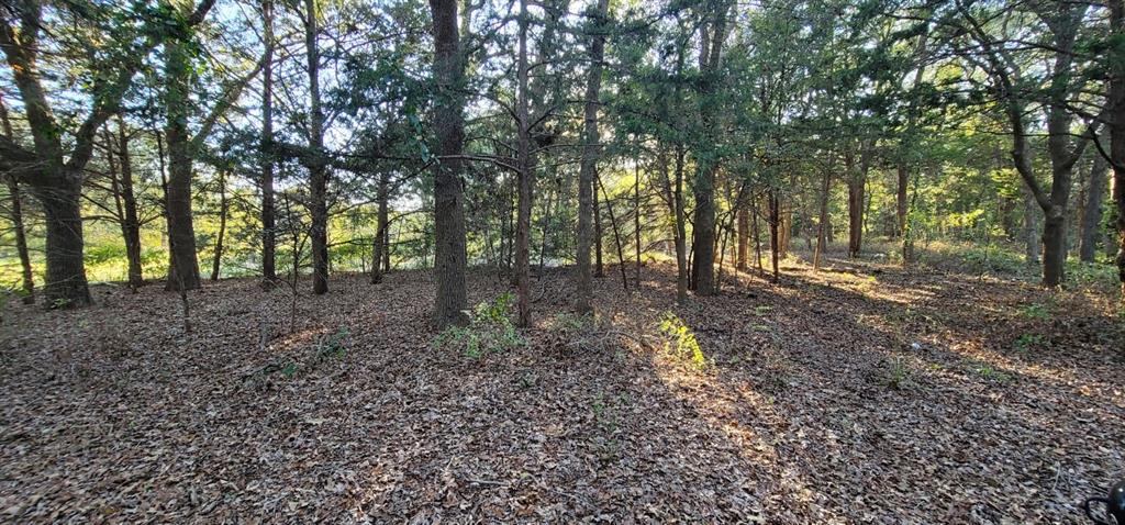 0 County Road 2261 Valley View, TX 76272 - Photo 12 of 12 a view of outdoor space with lots of trees