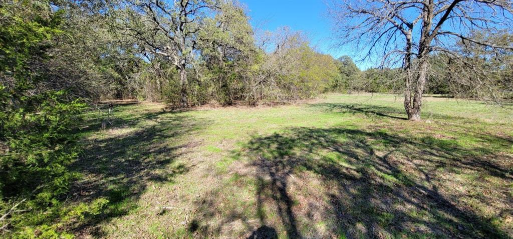 0 County Road 2261 Valley View, TX 76272 - Photo 10 of 12 a view of a yard with trees