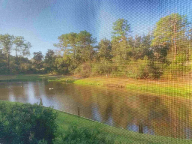 $1,650 | 410 South Villa San Marco Drive, Unit 108, St. Augustine, FL 32086