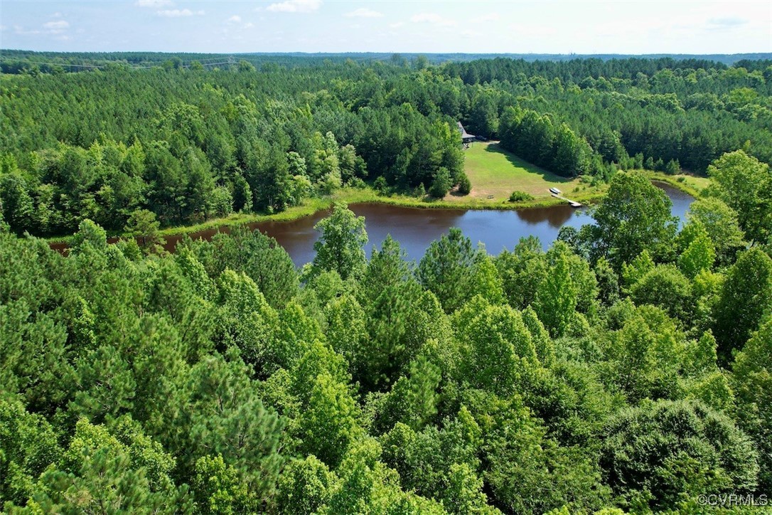 4554 Plank Road Kenbridge, VA 23944 - Photo 3 of 41 a view of a lake with a park