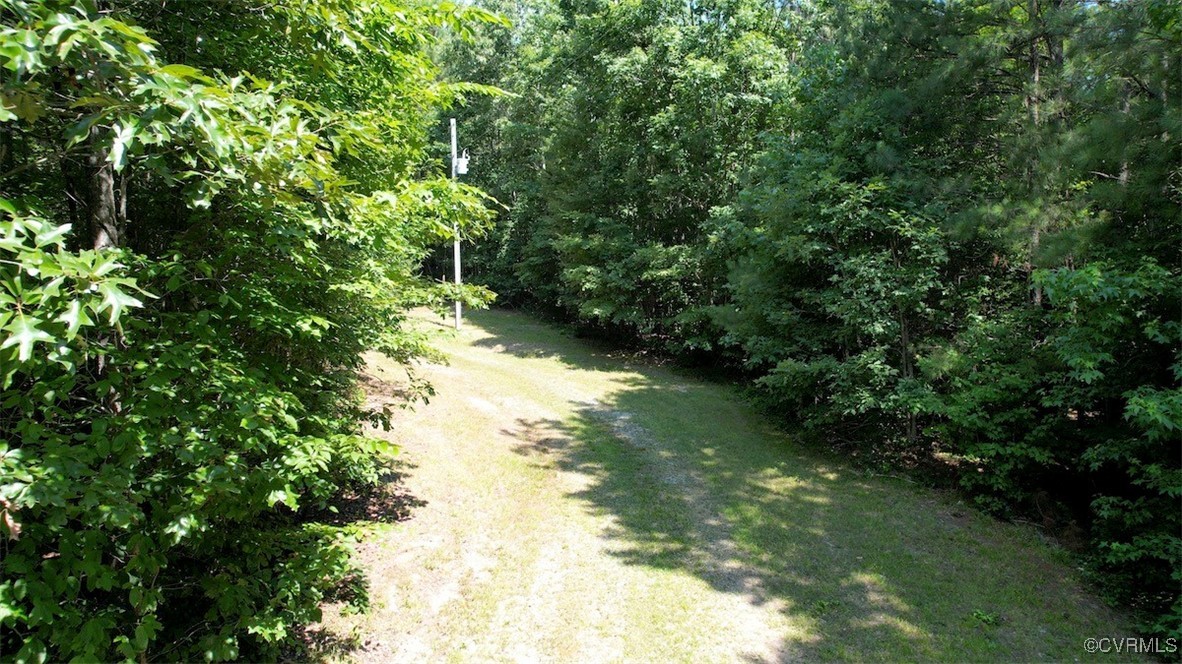 4554 Plank Road Kenbridge, VA 23944 - Photo 41 of 41 a view of a forest with a tree