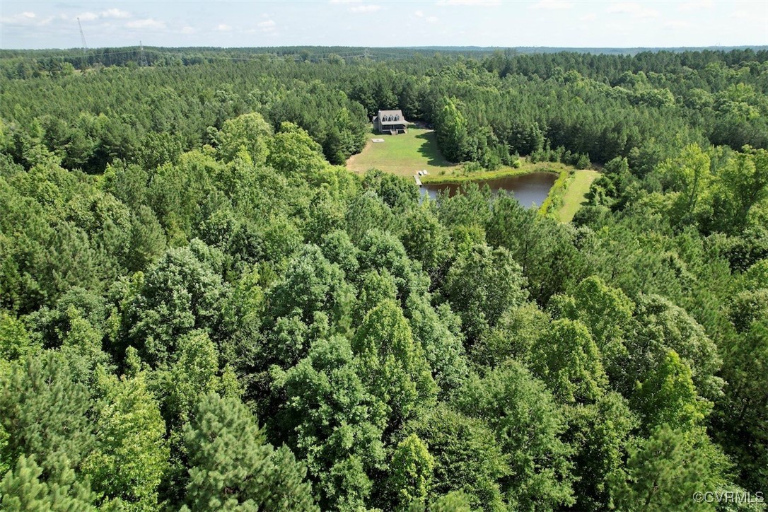 4554 Plank Road Kenbridge, VA 23944 - Photo 8 of 41 a view of a lush green forest from a yard