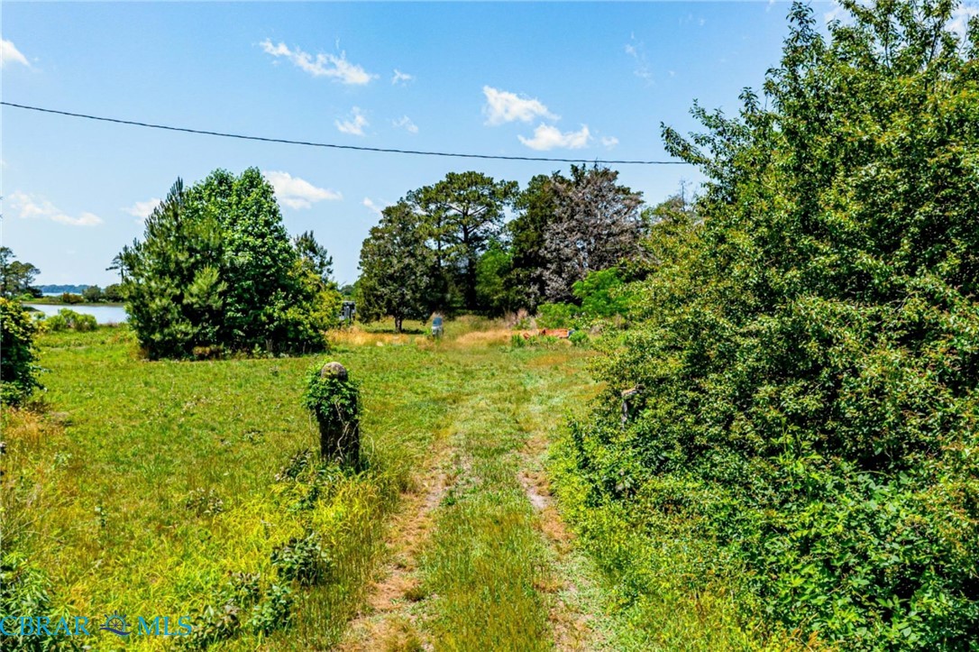 1439 North River Road Foster, VA 23056 - Photo 23 of 30