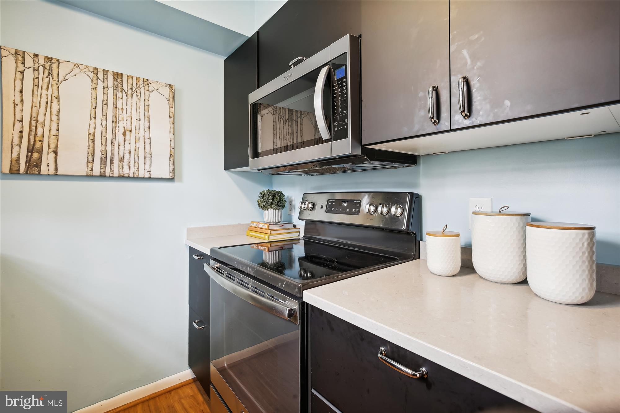 2649 South Walter Reed Drive, Unit B Arlington, VA 22206 - Photo 11 of 104 Kitchen