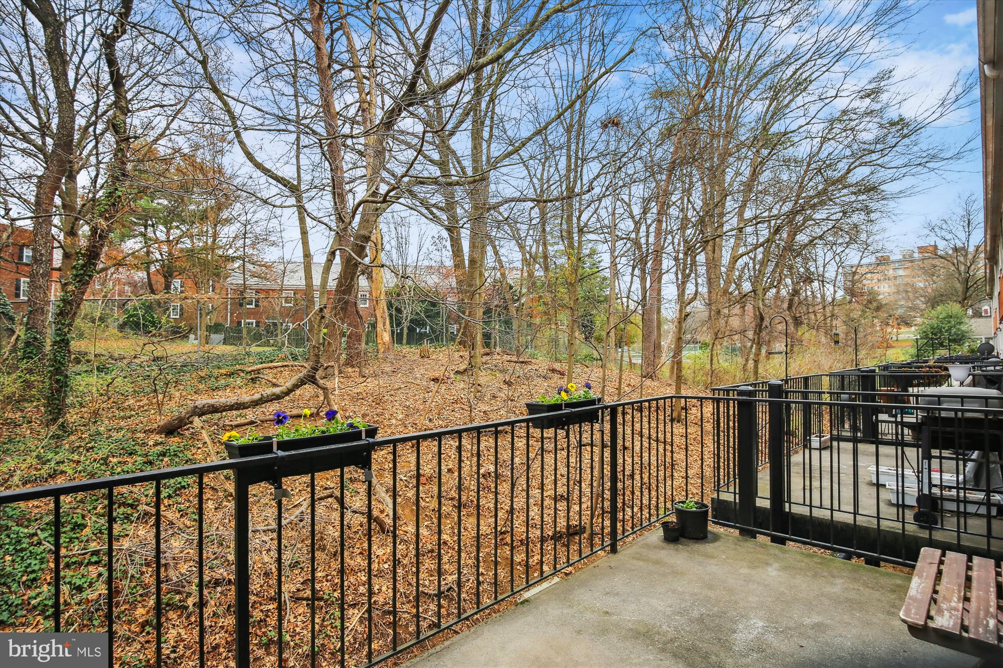 2649 South Walter Reed Drive, Unit B Arlington, VA 22206 - Photo 17 of 104 Balcony