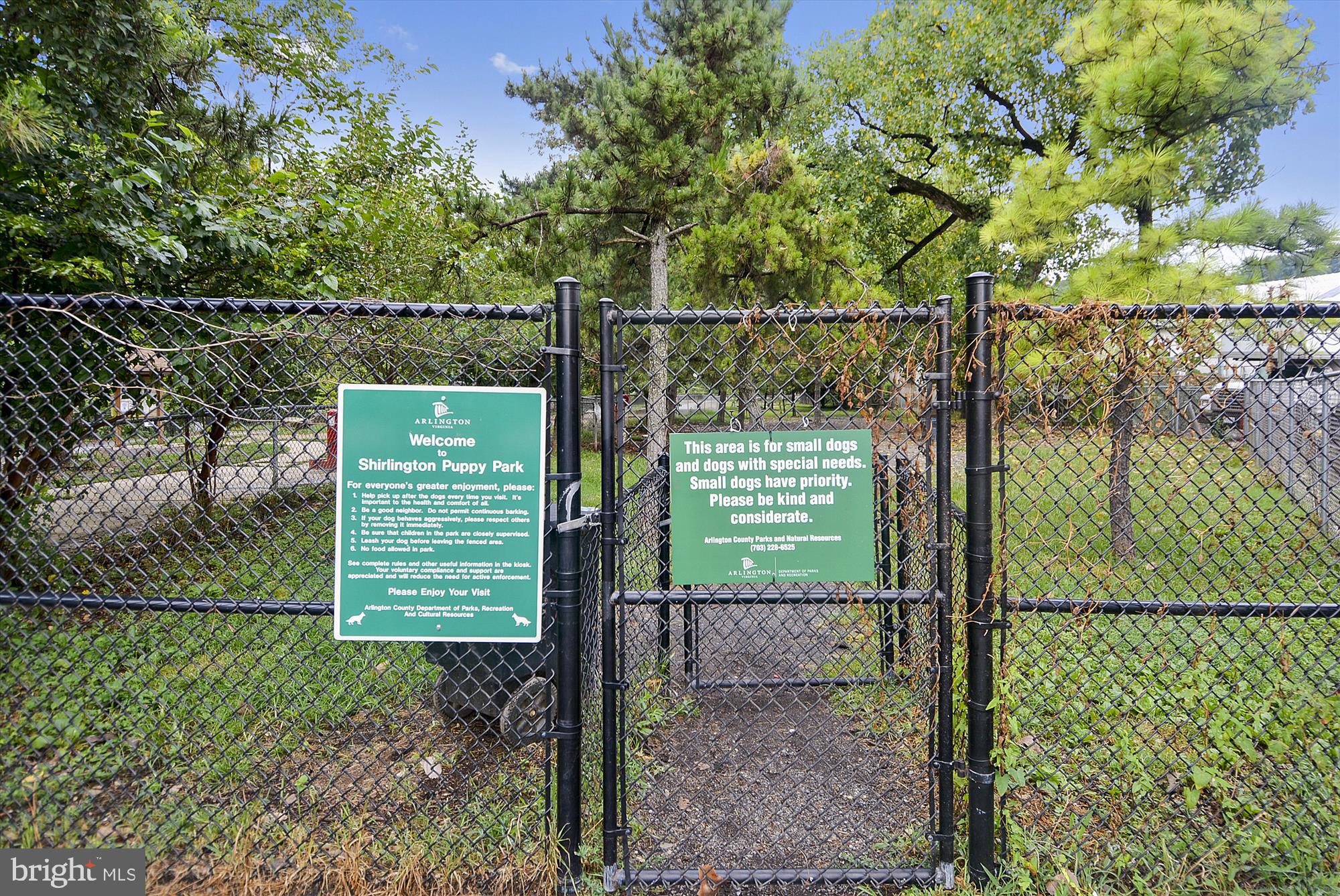 2649 South Walter Reed Drive, Unit B Arlington, VA 22206 - Photo 66 of 104 Shirlington Dog Park