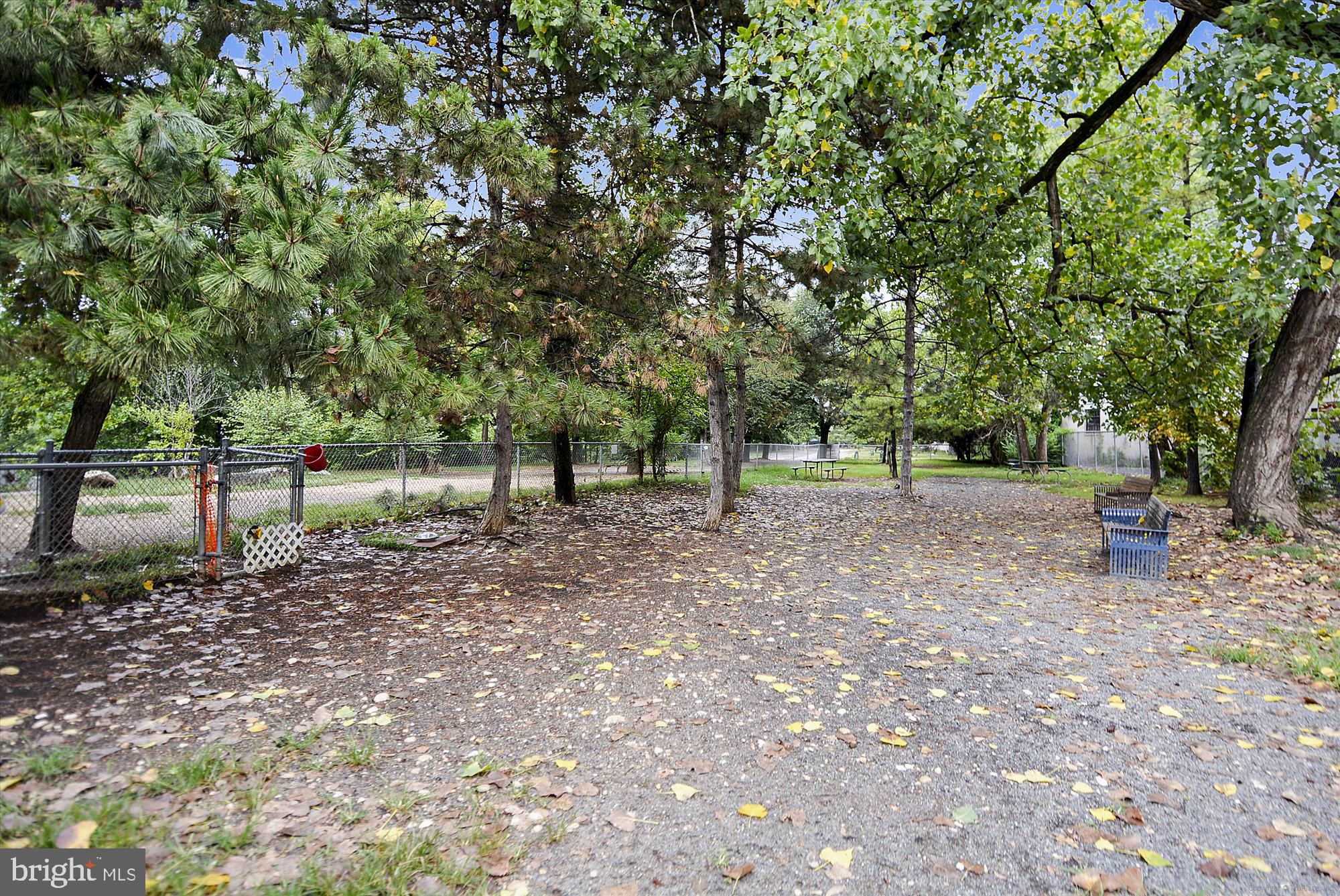 2649 South Walter Reed Drive, Unit B Arlington, VA 22206 - Photo 67 of 104 Shirlington Dog Park