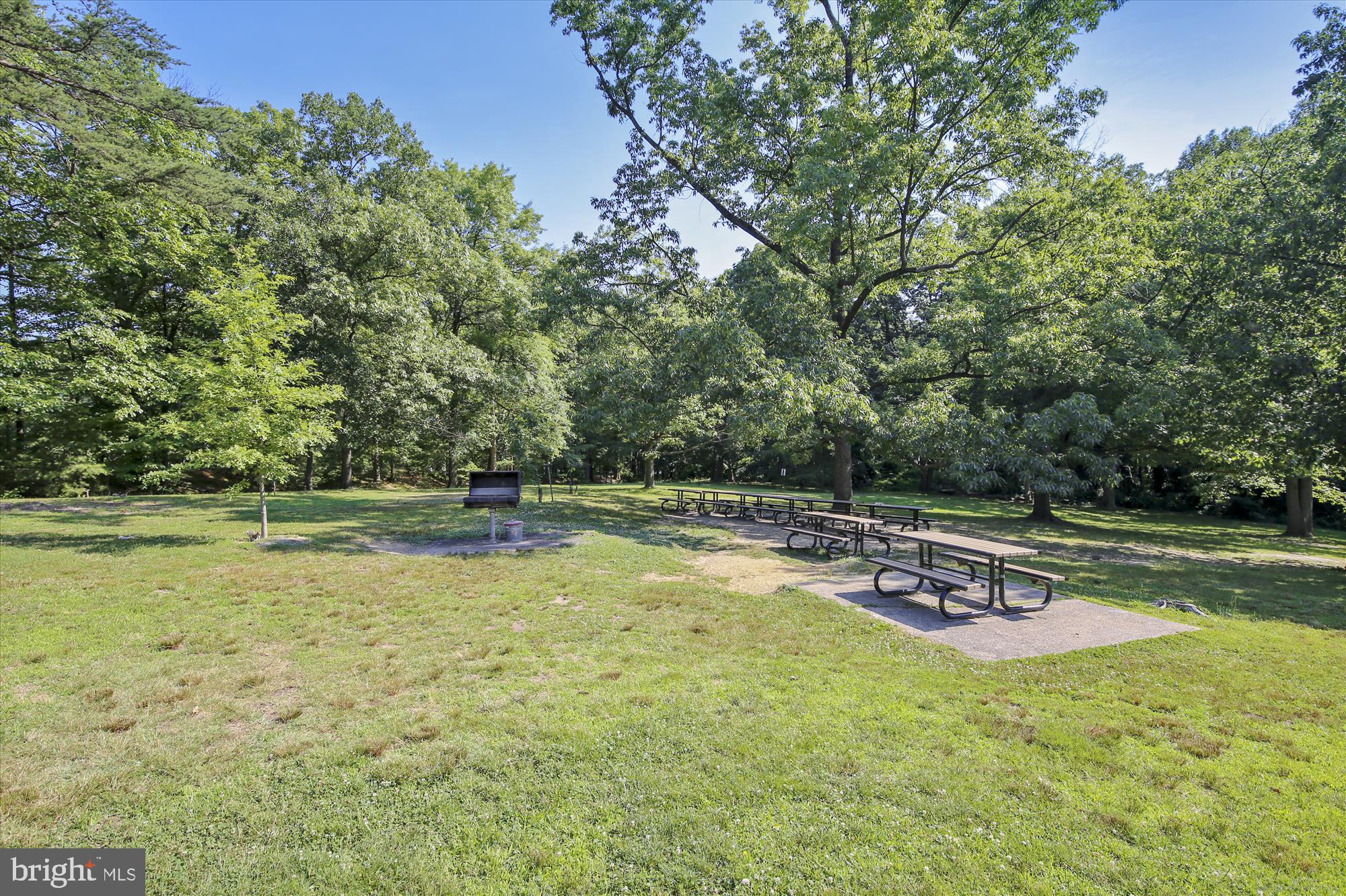 2649 South Walter Reed Drive, Unit B Arlington, VA 22206 - Photo 73 of 104 Fort Ward Picnic/Grill Area