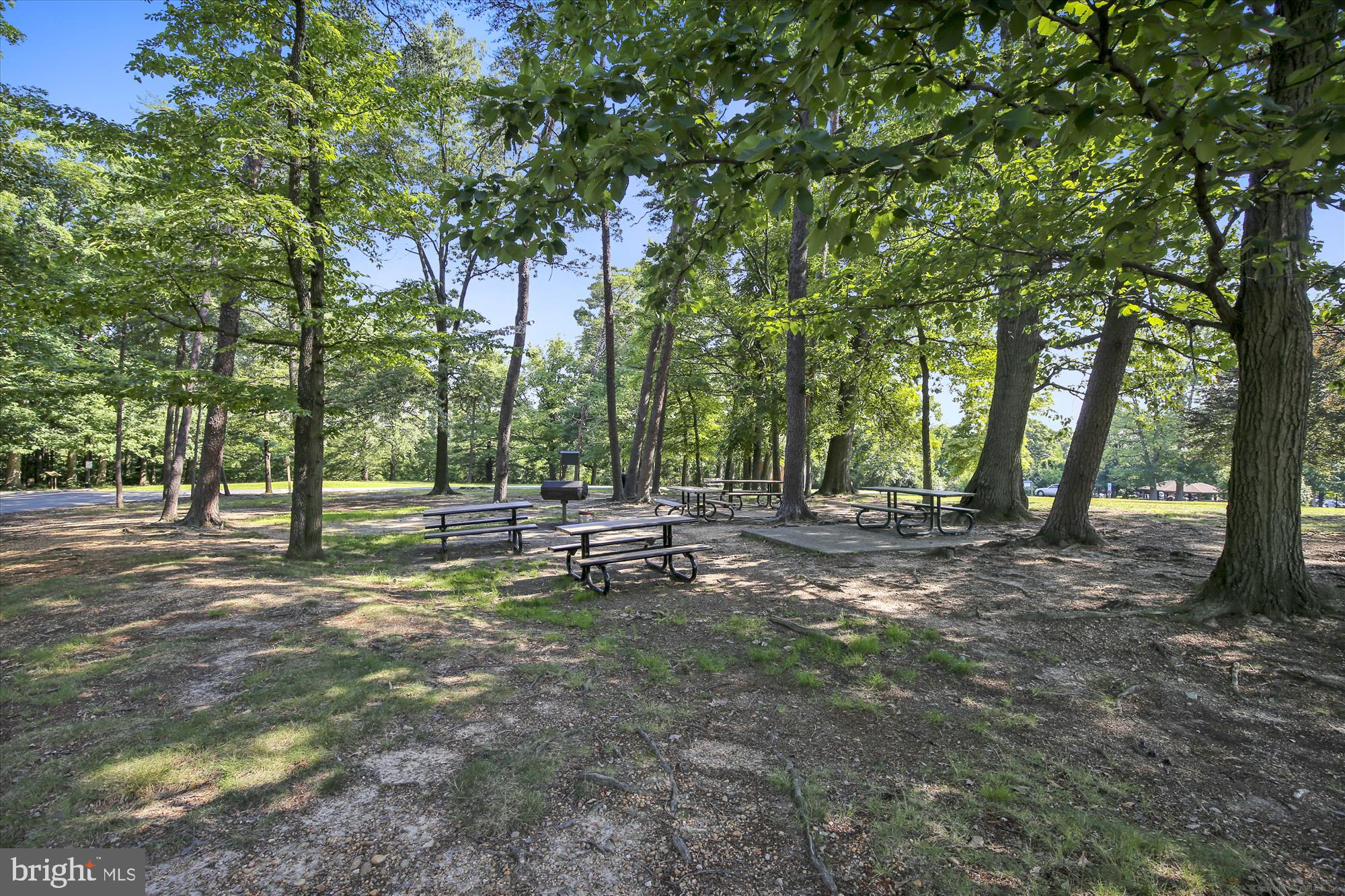 2649 South Walter Reed Drive, Unit B Arlington, VA 22206 - Photo 74 of 104 Fort Ward Picnic/Grill Area