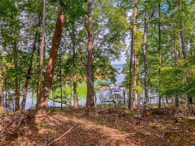 a backyard of a house with lots of trees